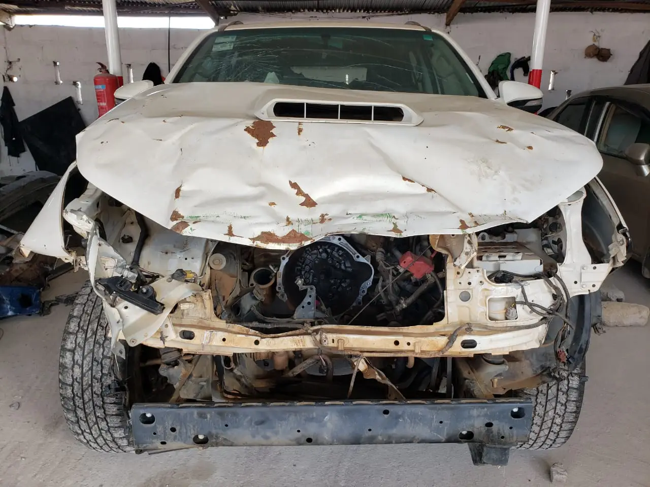 313138328_115977077976456_7220342829014049208_n